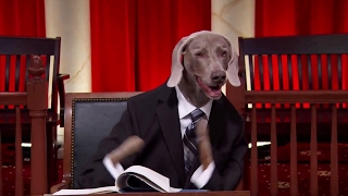 McLane Company, Inc. v. E.E.O.C: Oral Argument - February 21, 2017