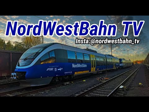 RE44 NWB Dosto Überführungsfahrt & RE14/RB45 nach Essen-Steele
