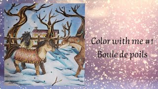 Color with me #1 - Boule de poils