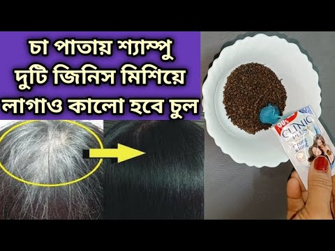 চা পাতায় শ্যাম্পু দুটি জিনিস মিশিয়ে লাগাও/চুল কালো ঘন সিল্কি শাইনি হবে নতুন চুল গজাবে/Hair Colour