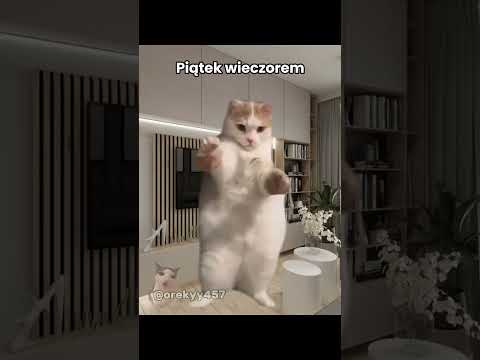 Wy też tak macie? 😹 IB: @Kitkuu_Official