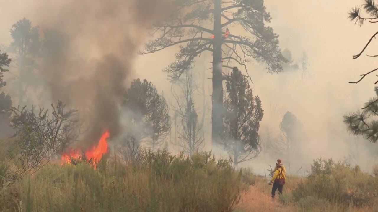 Bridge Fire races toward California mountain community of Wrightwood