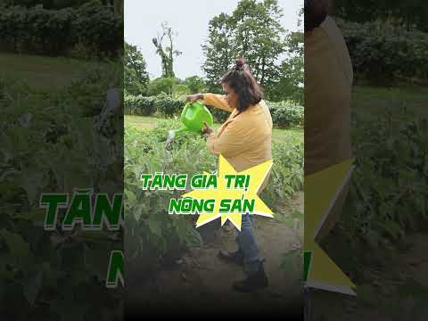 Màng phủ nông nghiệp sản xuất từ Nhà Máy chuẩn ISO của Sapaco | Sapaco | Sapaco.com.vn