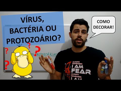 Macete: Vírus, Bactérias e Protozoários