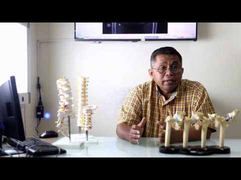 Aphrodisiacs obat tradisional Kekasih kontol kecil