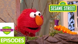 Furchester Hotel: Elmo and Phoebe Discover a Butte