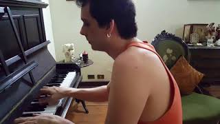 Enigma - The Dream of the Dolphin (piano)