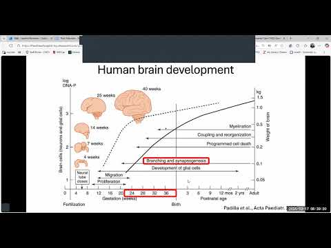 2025-12-17: CHEO Pediatric Grand Rounds