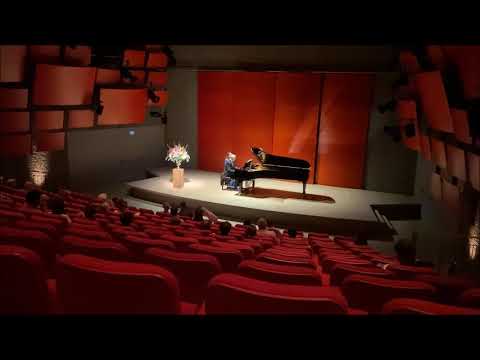 Ivo Pogorelich ..Shades of Bern, 2020 ..