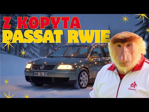 Z kopyta PASSAT rwie (Z kopyta kulig rwie PRZERÓBKA Skaldowie) - Slavic Folk Metal