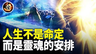 出生順序的秘密？父母與你的前世約定