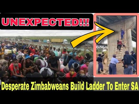 BREAKING: Desperate ZIMBABWEANS Build Ladder To Enter SA, SAPS Shut It Down On Camera