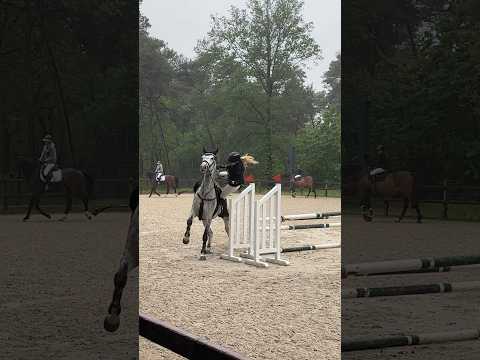 Fall at the tournament 🛬🤯 #horse #equestrian #horsefail #fall #riding
