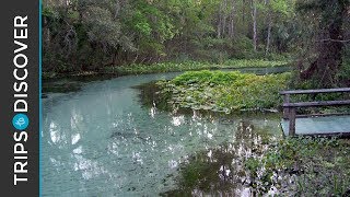 Rock Springs Run is Florida's Natural Lazy River