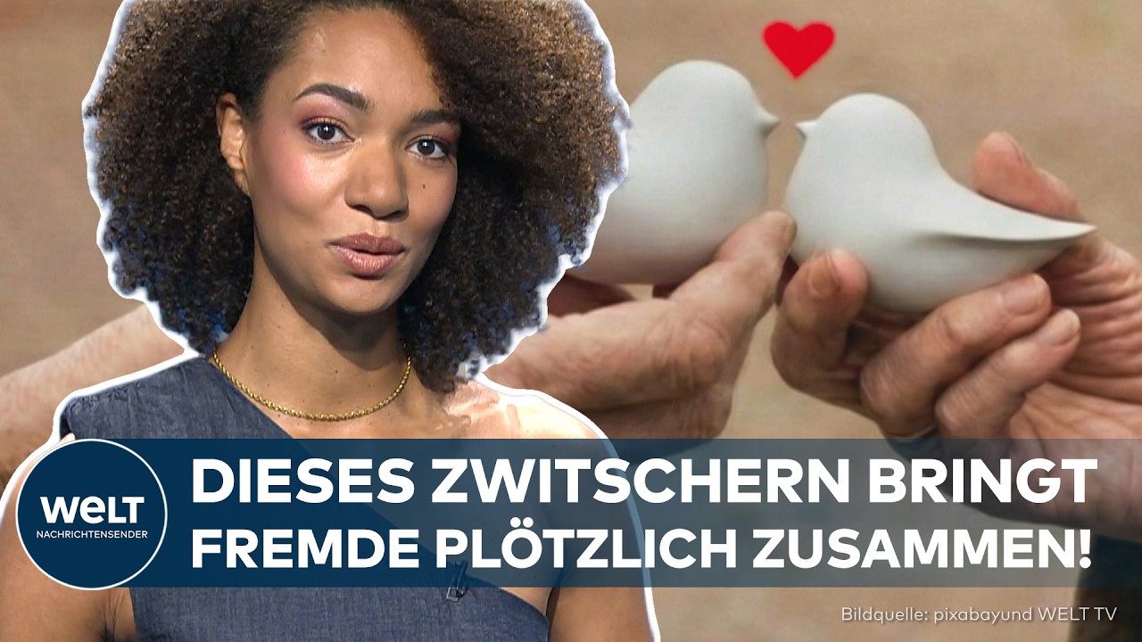 DESIGN GEGEN EINSAMKEIT! Dieses Zwitscher-Gadget bringt Menschen zusammen| ICON TV