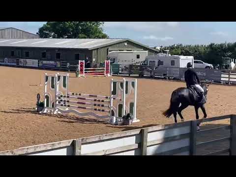 4 years old champion