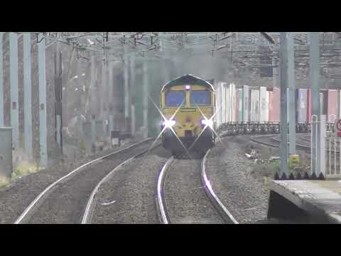 Freightliner Class 66 Compilation
