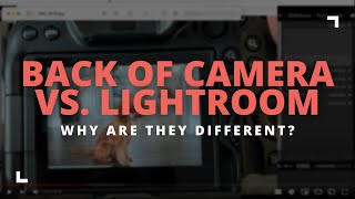 Why do my photos look different in Lightroom?