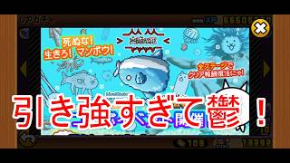 にゃんこ大戦争#55　Live!Manbo!　生きろ！マンボウ！コラボガチャを回したら引き強すぎてｗｗ滅ｗｗ