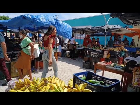 FEIRA LIVRE EM CARNAUBAL CEARÁ DIA 05/12/25