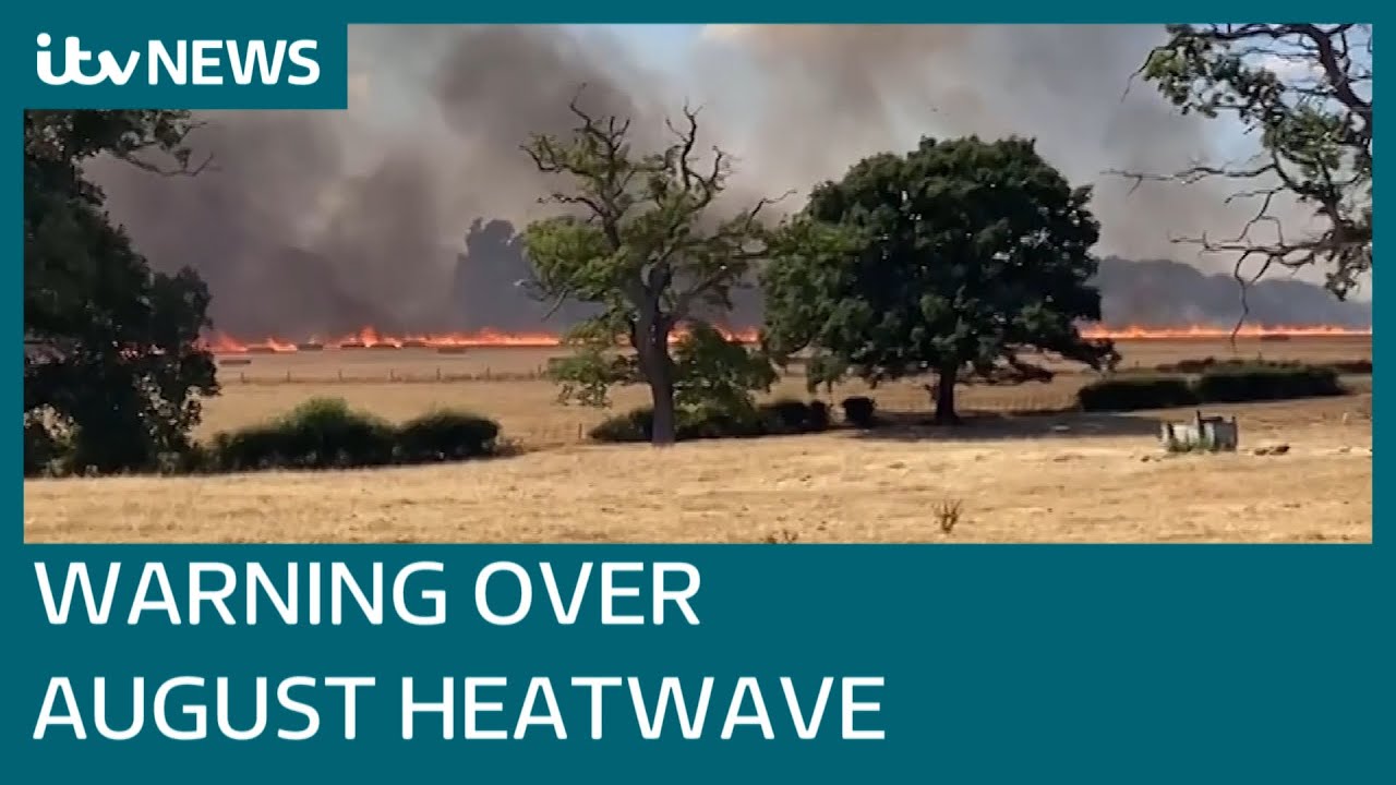 Britain braced for another heatwave with highs of 35C and ‘prolonged’ dryness | ITV News
