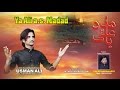 Ek Naara Haidery Ya Ali Madad Ahle Sunnat Usman Ali Nohay 2016 2017 1438 Hijri