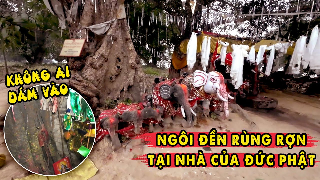 Ngôi Đền Bí Hiểm Phật Tử Không Ai Dám Vào Trong Thành Ca Tỳ La Vệ