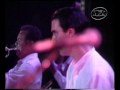 Music 21 *  David Byrne..  The Rose Tatoo