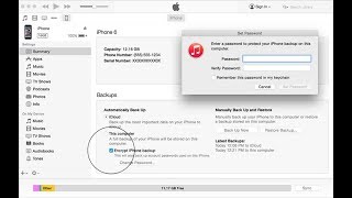 How to Encrypt Your iTunes Backup