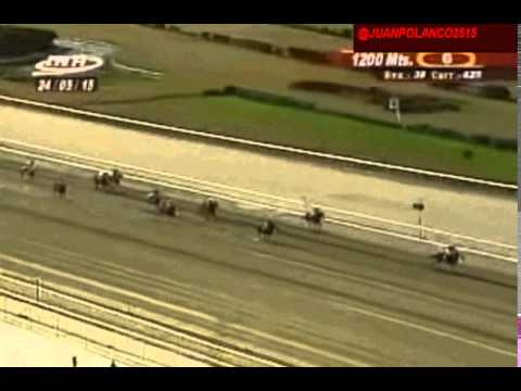 Resumen de Ayer Domingo 24 de mayo en la rinconada