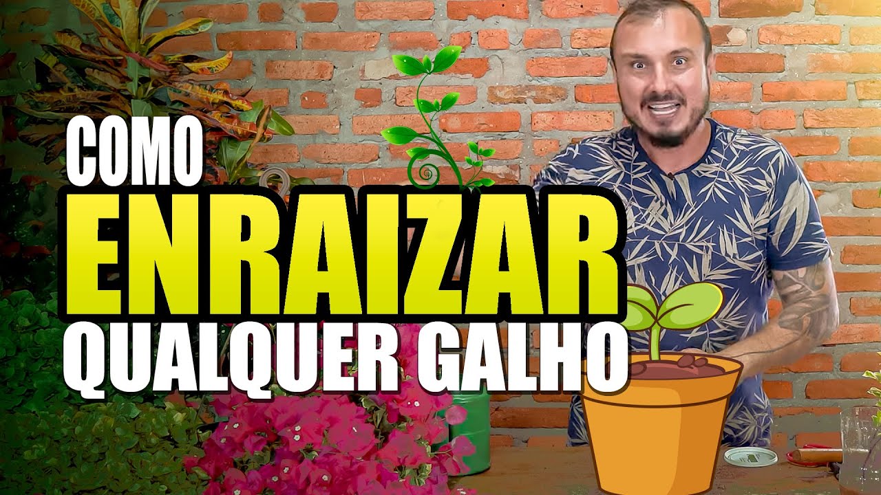 Como enraizar qualquer galho | Técnica sem gastar 1 real