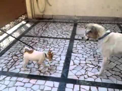 Don't underestimate the common man