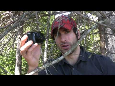 Nikon Coolpix S8000 Review
