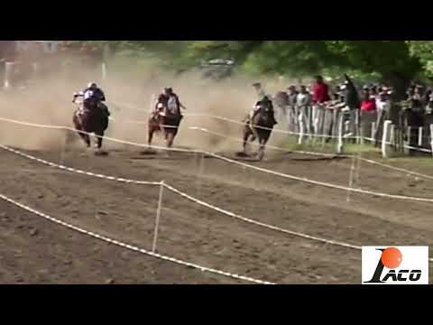 MICHO FLY HIPODROMO EL DESCUIDO EL BRETE 22 05 2022