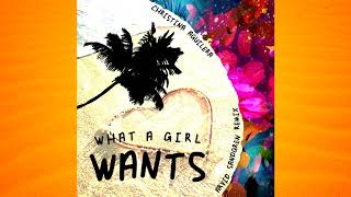 Christina Aguilera - What A Girl Wants (Arrived Remix)