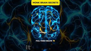 Monk Brain Scans Reveal the Secret? 🧠✨ #shorts