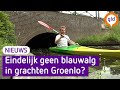 Oplossing tegen blauwalg moet toerisme op Grolse gracht terugbrengen