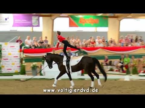 Philip Clement (AUT) - FEI Junior WC Ebreichsdorf 2017 - Male 09