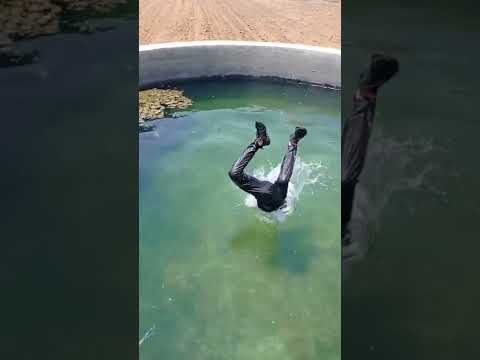 सीडी KE UPAR SE JUMP MARA 🥶 🥵 | #cleanwater #swimming #shorts #videos #newshorts #viralvideos