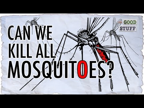 Should Mosquitoes Be Made Extinct?