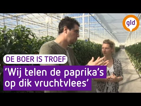 De boer is troef 18 mei 2016 - Paprikateler
