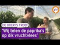 De boer is troef 18 mei 2016 - Paprikateler