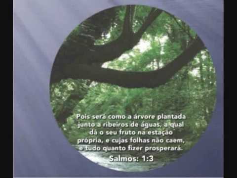Pode Cantar - Cantor J.Cesar