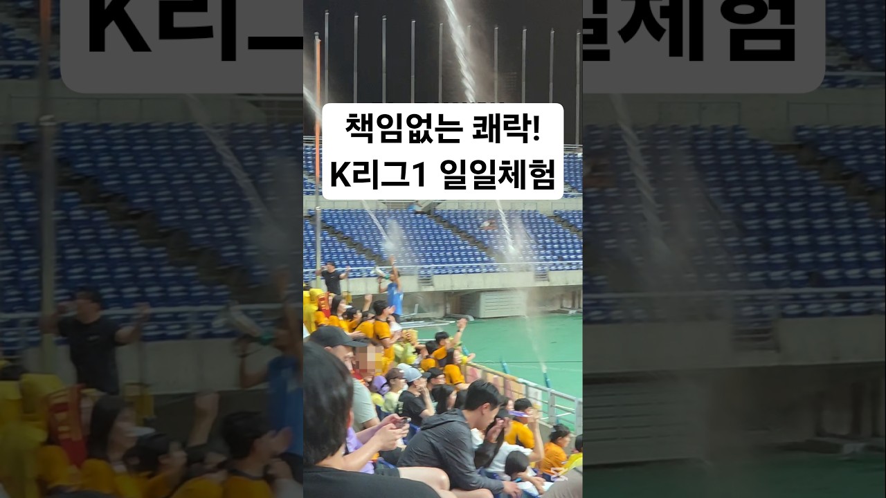 대구팬의 책임없는 K리그1 즐기기