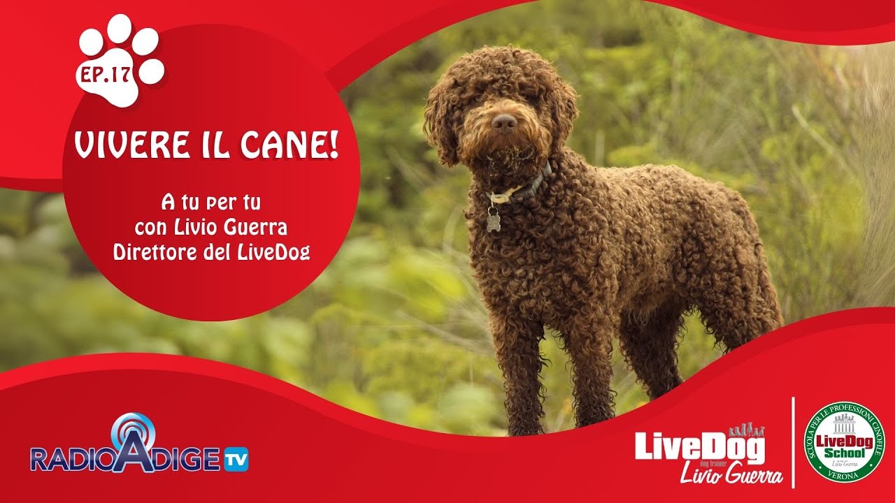 Descrizione dell'immagine