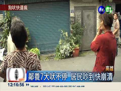 家養7犬吠不停! 70里民抗議惡鄰