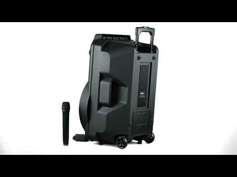 Портативная акустическая система BIG 300BAT USB/MP3/FM/BT/TWS + 2pcs VHF mic