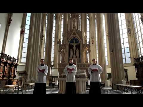 Pašije podle sv. Jana, apoštola a evangelisty