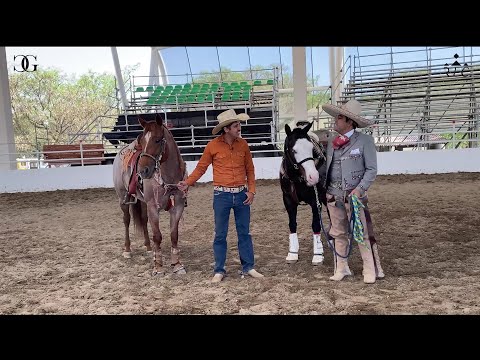 Alejandro Goñi y Juan Ramos comparten conocimientos y puntos de vista de la rienda charra  PARTE1
