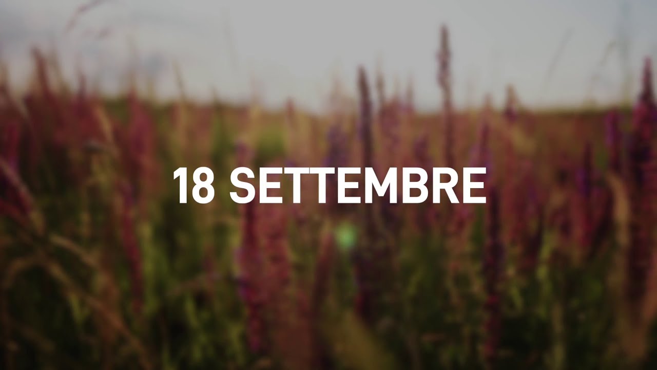 18 Settembre 2025 | Meditazione Parole di Vita